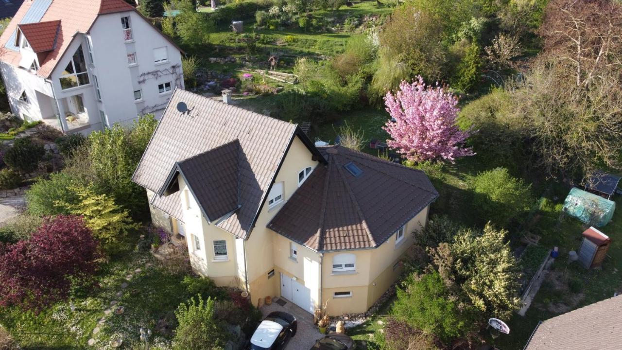 Apartment Chez Olivier Et Josette Sur Mulhouse Sud *